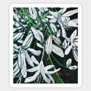 Agapanthus, Star of Bethlehem Sticker